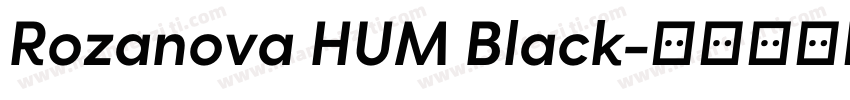 Rozanova HUM Black字体转换